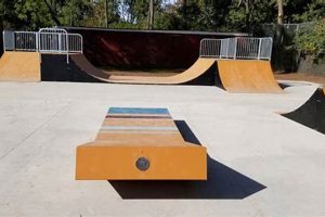 Your Guide to West Orange Skate Park Fun &amp; Safety! | Learn to Surf & Skate: A Beginner's Step-by-Step Guide