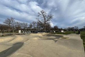Clawson Skate Park: Your Guide to Skating Fun! | Learn to Surf & Skate: A Beginner's Step-by-Step Guide