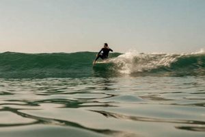 Live: Summer Session Surf Cam Views & Conditions Learn to Surf & Skate: A Beginner's Step-by-Step Guide Live: Summer Session Surf Cam Views & Conditions | Learn to Surf & Skate: A Beginner's Step-by-Step Guide