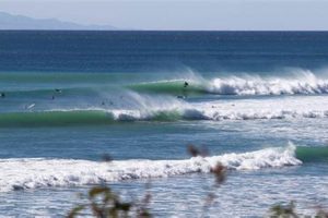 Your Best Malibu County Line Surf Report: Updated Daily | Learn to Surf & Skate: A Beginner's Step-by-Step Guide