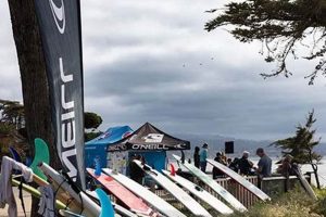 Pleasure Point Surf Report: Santa Cruz Guide + Conditions | Learn to Surf & Skate: A Beginner's Step-by-Step Guide