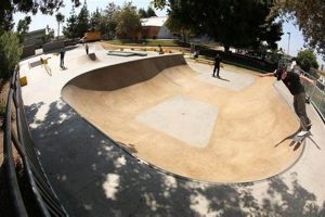 Visit La Pintoresca Skate Park: Your Ultimate Skate Spot | Learn to Surf & Skate: A Beginner's Step-by-Step Guide