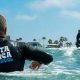 Your Santa Monica Surf Report: Best Waves Today! | Learn to Surf & Skate: A Beginner's Step-by-Step Guide