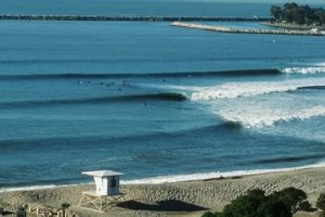 Doheny Beach Surf Cam: Live Wave Report & View | Learn to Surf & Skate: A Beginner's Step-by-Step Guide
