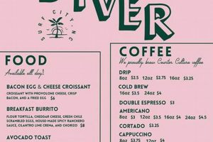 Discover the Best Diver Surf City Spots! | Learn to Surf & Skate: A Beginner's Step-by-Step Guide