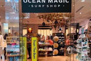 Your Local McLevins Surf Shop: Gear, Advice & More! | Learn to Surf & Skate: A Beginner's Step-by-Step Guide