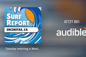 Encinitas Surf Report: Local Wave &amp; Beach Guide | Learn to Surf & Skate: A Beginner's Step-by-Step Guide