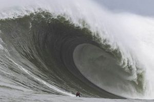 Ultimate Wave Surf Guide: Tips & Techniques Learn to Surf & Skate: A Beginner's Step-by-Step Guide Ultimate Wave Surf Guide: Tips & Techniques | Learn to Surf & Skate: A Beginner's Step-by-Step Guide