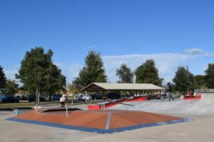 Visit Frontier Park Skate Facility: Your Local Skate Spot | Learn to Surf & Skate: A Beginner's Step-by-Step Guide