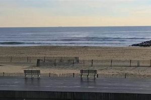 Live: Asbury Park Surf Cam | Beach & Wave Report | Learn to Surf & Skate: A Beginner's Step-by-Step Guide