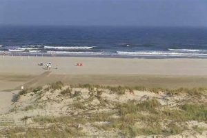 North Wildwood Surf Cam: Live Beach Views & Wave Report Learn to Surf & Skate: A Beginner's Step-by-Step Guide North Wildwood Surf Cam: Live Beach Views & Wave Report | Learn to Surf & Skate: A Beginner's Step-by-Step Guide
