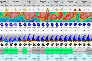 Long Beach Surf Forecast: Ride Perfect Waves Today! | Learn to Surf & Skate: A Beginner's Step-by-Step Guide