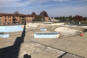 Frederick MD Skate Park Guide: Skate, Ride, & Thrive! | Learn to Surf & Skate: A Beginner's Step-by-Step Guide
