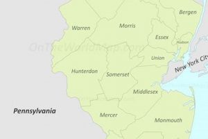 Your Surf Guide: Surf City, NJ - Ocean County Beaches | Learn to Surf & Skate: A Beginner's Step-by-Step Guide