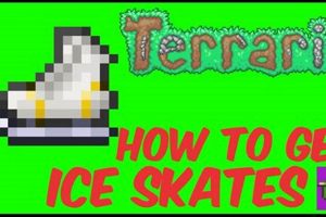 Best Terraria Seed for Ice Skates [Easy Find] | Learn to Surf & Skate: A Beginner's Step-by-Step Guide
