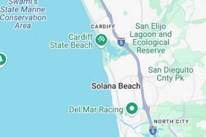 Seaside Reed: Your Local Surf Report Forecast + | Learn to Surf & Skate: A Beginner's Step-by-Step Guide