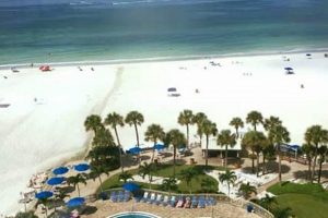 Sarasota Surf & Racquet Club: Your Ultimate Sports Escape | Learn to Surf & Skate: A Beginner's Step-by-Step Guide