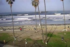 Your Mission Beach Surf Report Today: Waves & Conditions Learn to Surf & Skate: A Beginner's Step-by-Step Guide Your Mission Beach Surf Report Today: Waves & Conditions | Learn to Surf & Skate: A Beginner's Step-by-Step Guide