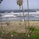 Your Mission Beach Surf Report Today: Waves &amp; Conditions | Learn to Surf & Skate: A Beginner's Step-by-Step Guide
