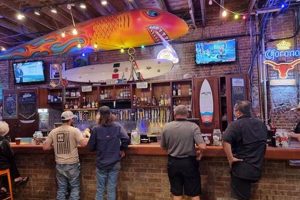 Your Guide to Surf Shops in Corpus Christi, TX | Learn to Surf & Skate: A Beginner's Step-by-Step Guide