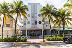 Your Surf Haven: Hotel Ocean Surf Hotel Deals Learn to Surf & Skate: A Beginner's Step-by-Step Guide Your Surf Haven: Hotel Ocean Surf Hotel Deals | Learn to Surf & Skate: A Beginner's Step-by-Step Guide