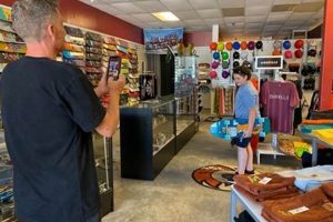 Your Guide to Myrtle Beach Skate Shops: Gear & Community | Learn to Surf & Skate: A Beginner's Step-by-Step Guide
