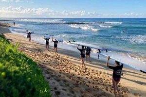 Learn Kauai Surf Lessons in Poipu: Your Ultimate Guide Learn to Surf & Skate: A Beginner's Step-by-Step Guide Learn Kauai Surf Lessons in Poipu: Your Ultimate Guide | Learn to Surf & Skate: A Beginner's Step-by-Step Guide