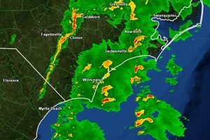 Surf City NC Weather Radar: Coastal Watch | Learn to Surf & Skate: A Beginner's Step-by-Step Guide