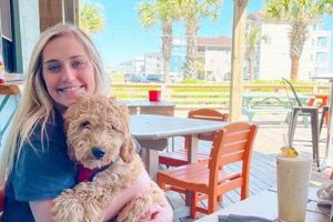 Surf City NC Pet Friendly Hotels: Find Your Perfect Stay! Learn to Surf & Skate: A Beginner's Step-by-Step Guide Surf City NC Pet Friendly Hotels: Find Your Perfect Stay! | Learn to Surf & Skate: A Beginner's Step-by-Step Guide