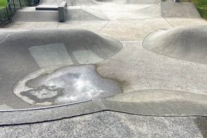 Best Skate Park Nashville TN: Locations & More! | Learn to Surf & Skate: A Beginner's Step-by-Step Guide