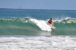 Coastal Pine Trees Surf Report: [Location] Guide | Learn to Surf & Skate: A Beginner's Step-by-Step Guide