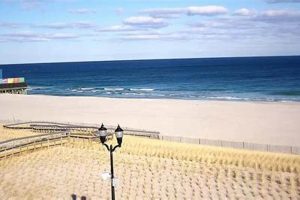 Live Seaside Surf Cam Views: Watch Waves Now! | Learn to Surf & Skate: A Beginner's Step-by-Step Guide