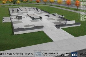 Maloof Skate Park | Learn to Surf & Skate: A Beginner's Step-by-Step Guide