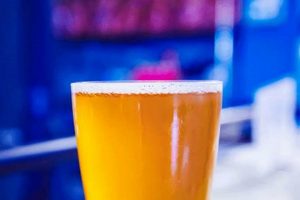 Craft Surf City Brewing: Brews & Waves | Learn to Surf & Skate: A Beginner's Step-by-Step Guide