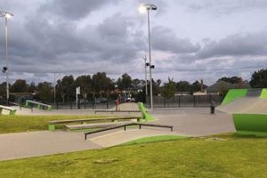 Explore Noble Park Skate Park: Your Ultimate Guide Learn to Surf & Skate: A Beginner's Step-by-Step Guide Explore Noble Park Skate Park: Your Ultimate Guide | Learn to Surf & Skate: A Beginner's Step-by-Step Guide