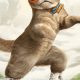 Why a Cat on Roller Skates? The Whimsical World of Skates! | Learn to Surf & Skate: A Beginner's Step-by-Step Guide