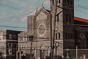 Philly Skate Parks: Find Your Ride + More | Learn to Surf & Skate: A Beginner's Step-by-Step Guide