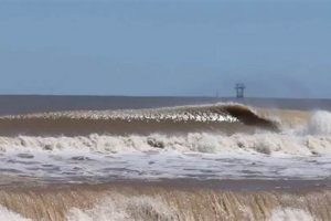 Watch Live! Matagorda Surf Cam - Surf's Up Texas! | Learn to Surf & Skate: A Beginner's Step-by-Step Guide