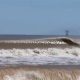 Watch Live! Matagorda Surf Cam - Surf's Up Texas! | Learn to Surf & Skate: A Beginner's Step-by-Step Guide