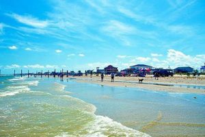 Your Surf Side Beach Getaway: [Location/Feature] Awaits! | Learn to Surf & Skate: A Beginner's Step-by-Step Guide