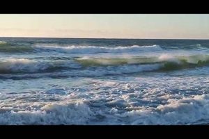 Surf Report Surf City Nc Learn to Surf & Skate: A Beginner's Step-by-Step Guide Surf Report Surf City Nc | Learn to Surf & Skate: A Beginner's Step-by-Step Guide