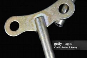 Buy Best Roller Skate Key: Adjust & Maintain Your Skates! | Learn to Surf & Skate: A Beginner's Step-by-Step Guide