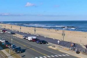 Belmar Surf Report: [Today's Conditions] + Forecast | Learn to Surf & Skate: A Beginner's Step-by-Step Guide