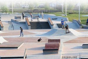 Your Guide to Roller Skate Parks Near You: Find Fun! | Learn to Surf & Skate: A Beginner's Step-by-Step Guide