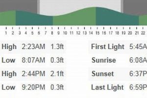 Kona Surf Report: [Today's Conditions] &amp; Forecast | Learn to Surf & Skate: A Beginner's Step-by-Step Guide