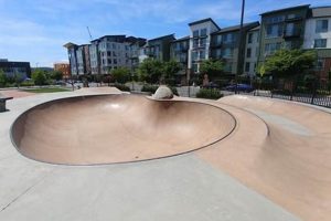 Best Skate Parks in Washington State: A Skater's Guide | Learn to Surf & Skate: A Beginner's Step-by-Step Guide