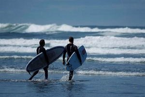 Surf's Up! Closest Surf Beach to Seattle WA (Your Guide) Learn to Surf & Skate: A Beginner's Step-by-Step Guide Surf's Up! Closest Surf Beach to Seattle WA (Your Guide) | Learn to Surf & Skate: A Beginner's Step-by-Step Guide