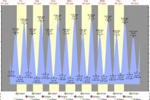 Surf City NC Tides: Your Schedule & Guide | Learn to Surf & Skate: A Beginner's Step-by-Step Guide