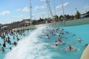 Find Surf Wave Pool Near Me: Ride the Best Waves! | Learn to Surf & Skate: A Beginner's Step-by-Step Guide