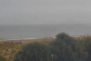 Live Tybee Surf Cam: Beach Views & Wave Check! Learn to Surf & Skate: A Beginner's Step-by-Step Guide Live Tybee Surf Cam: Beach Views & Wave Check! | Learn to Surf & Skate: A Beginner's Step-by-Step Guide